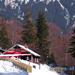 Dinner in a cave / mountain cabane 